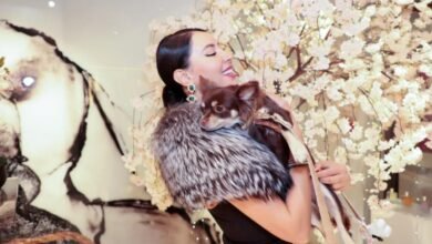 صورة توضيحية - Supermodel Nesrin Sanad Sizzles In Gorgeous Black Dress At Amber Niche Ceremony