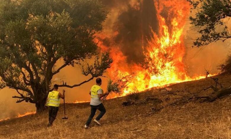 Photo of 34 ضحية نتيجة الحرائق المنتشرة في الجزائر