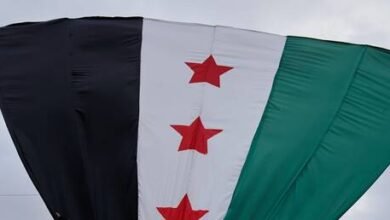 صورة توضيحية - قتل فيه جنود أمريكيون.. الخارجية السورية تدين الهجوم الإرهابي بالقرب من تدمر