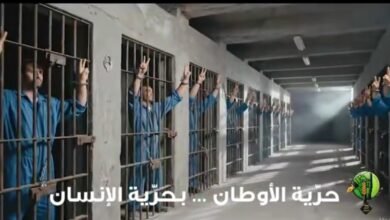 صورة توضيحية - في اليوم العالمي لحقوق الإنسان تُذبح الإنسانية