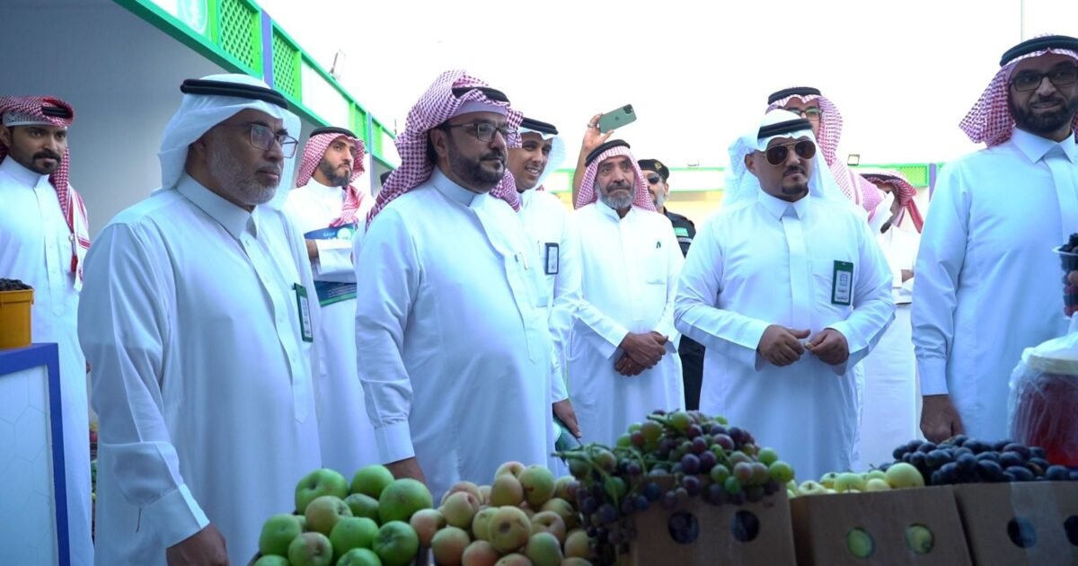 اقتراح تحويل «سوق الجبل» إلى منصة لتجميع وتصدير منتجات الشوف