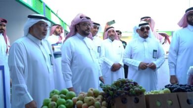 اقتراح تحويل «سوق الجبل» إلى منصة لتجميع وتصدير منتجات الشوف