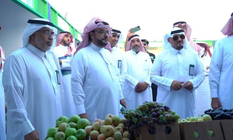 اقتراح تحويل «سوق الجبل» إلى منصة لتجميع وتصدير منتجات الشوف